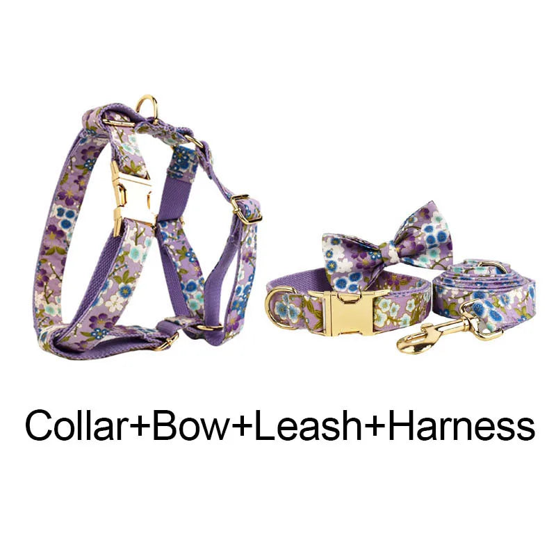 collars, leashes, harnesses