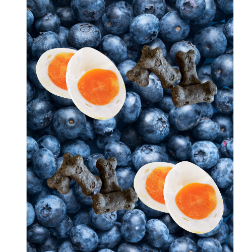 All natural dog treats Cheesy Duck Eggs & Blueberries treats (grain free)